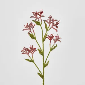 Kangaroo Paw Spray Red by JMC FLORALS, a Plants for sale on Style Sourcebook