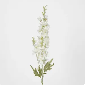 Delphinium 85cm White by JMC FLORALS, a Plants for sale on Style Sourcebook