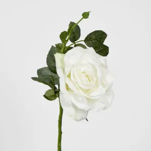 Queen Rose 35cm White by JMC FLORALS, a Plants for sale on Style Sourcebook