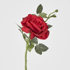 Queen Rose 35cm Red by JMC FLORALS, a Plants for sale on Style Sourcebook