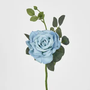 Queen Rose 35cm Blue by JMC FLORALS, a Plants for sale on Style Sourcebook