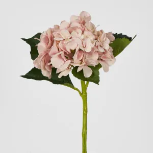 Hydrangea Water Stem 49cm Soft Pink by JMC FLORALS, a Plants for sale on Style Sourcebook