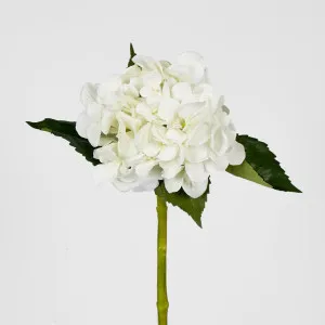Hydrangea Water Stem 49cm White by JMC FLORALS, a Plants for sale on Style Sourcebook