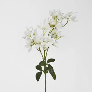 Bougainvillea Branch 83cm White by JMC FLORALS, a Plants for sale on Style Sourcebook