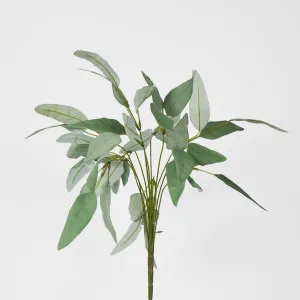 Eucalyptus Leaf Bush 40cm Green by JMC FLORALS, a Plants for sale on Style Sourcebook