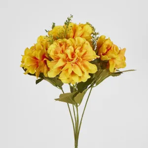 Marigold Bush x 5 Heads Yellow by JMC FLORALS, a Plants for sale on Style Sourcebook