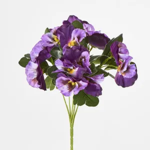 Pansy Bush 32cm Purple by JMC FLORALS, a Plants for sale on Style Sourcebook