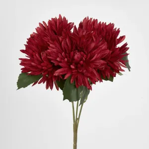 Mum Bush 46cm Burgundy by JMC FLORALS, a Plants for sale on Style Sourcebook