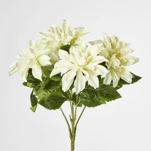 Dahlia Bush x 5 White by JMC FLORALS, a Plants for sale on Style Sourcebook