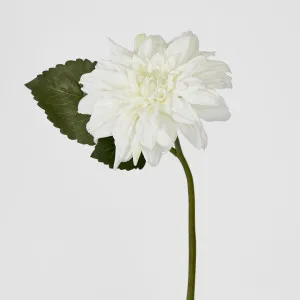 Dahlia 28cm White by JMC FLORALS, a Plants for sale on Style Sourcebook