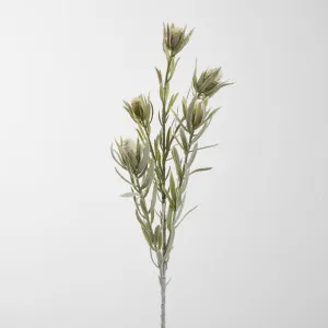 Protea Spray 77cm Cream by JMC FLORALS, a Plants for sale on Style Sourcebook