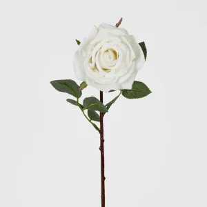 Bella Rose Real Touch 68cm White by JMC FLORALS, a Plants for sale on Style Sourcebook