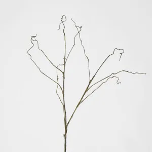 Curly Twig Dark Brown by JMC FLORALS, a Plants for sale on Style Sourcebook