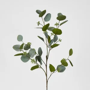 Eucalyptus with Seed 87cm Green by JMC FLORALS, a Plants for sale on Style Sourcebook
