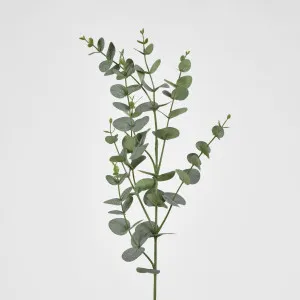 Eucalyptus Spray 97cm by JMC FLORALS, a Plants for sale on Style Sourcebook