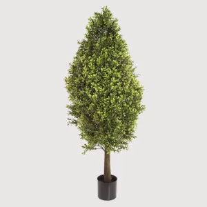 Boxwood Cone 90cm by TREE CREATIONS, a Plants for sale on Style Sourcebook