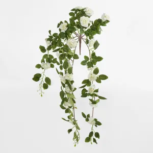 Trailing Rose Spray White Hanging by JMC FLORALS, a Plants for sale on Style Sourcebook