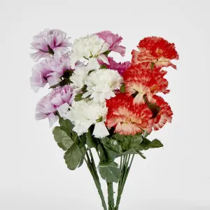 Carnation Bush B Asstd Box of 60 by JMC FLORALS, a Plants for sale on Style Sourcebook