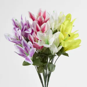 Tiger Lily Bush 4 Colours Box of 60 by JMC FLORALS, a Plants for sale on Style Sourcebook