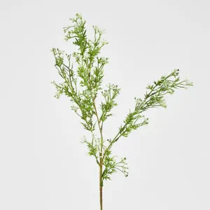 Fine White Filler Spray by JMC FLORALS, a Plants for sale on Style Sourcebook