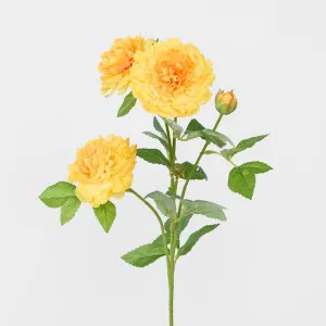Peony Spray With 3 Heads Yellow by JMC FLORALS, a Plants for sale on Style Sourcebook