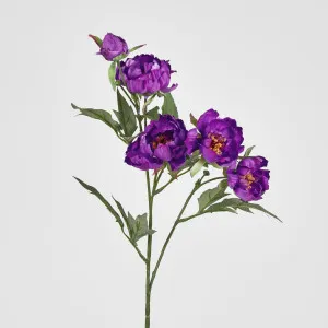 Peony Spray 64cm Purple by JMC FLORALS, a Plants for sale on Style Sourcebook