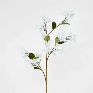 Bougainvillea Spray 97cm White by Florabelle Living, a Plants for sale on Style Sourcebook