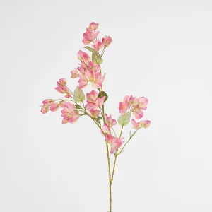 Bougainvillea Spray 97cm Pink by Florabelle Living, a Plants for sale on Style Sourcebook