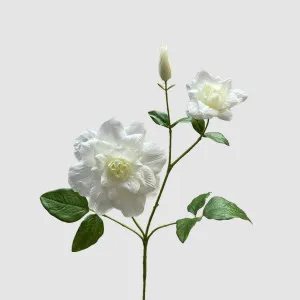 Clematis Flower White 72cm by Florabelle Living, a Plants for sale on Style Sourcebook