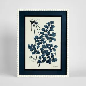 Botanical Blueprint B Wall Art 45x60cm by Florabelle Living, a Prints for sale on Style Sourcebook