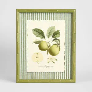 Apple Study 1 Wall Art 34x42cm by Florabelle Living, a Prints for sale on Style Sourcebook