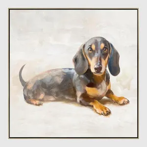 Dachshund Daydream Wall Art 42.5 x 42.5cm by Florabelle Living, a Prints for sale on Style Sourcebook