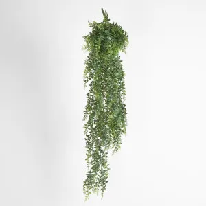 Green Hanging Baker Fern x 14 by JMC FLORALS, a Plants for sale on Style Sourcebook