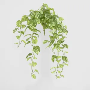 Real Touch Pothos Hanging Bush x 12 by JMC FLORALS, a Plants for sale on Style Sourcebook