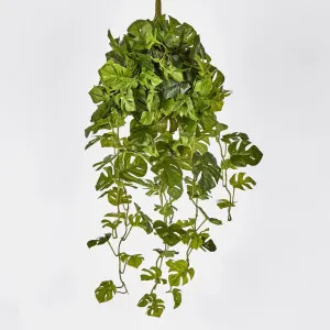 Real Touch Monstera Split Philo Hanging Bush x 13 by JMC FLORALS, a Plants for sale on Style Sourcebook