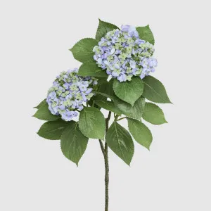 Hydrangea with Leaves 90cm Blue by Florabelle Living, a Plants for sale on Style Sourcebook