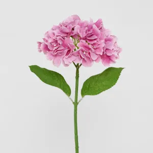 Hydrangea Stem Soft Touch 50cm Dark Pink by Florabelle Living, a Plants for sale on Style Sourcebook
