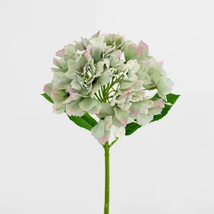 Hydrangea Stem Soft Touch 50cm Green by Florabelle Living, a Plants for sale on Style Sourcebook