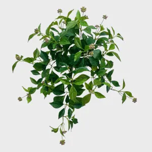 Hanging Leaf Bush With Berries 57cm by Florabelle Living, a Plants for sale on Style Sourcebook