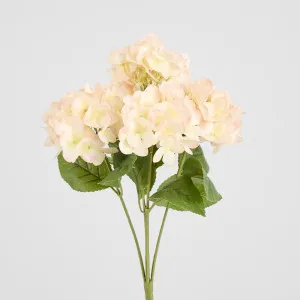 Fresh Touch Hydrangea Bunch Light Pink by Florabelle Living, a Plants for sale on Style Sourcebook