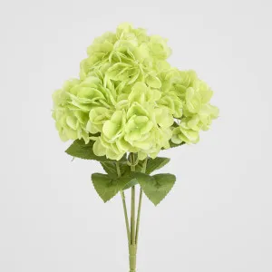 Fresh Touch Hydrangea Bunch Green by Florabelle Living, a Plants for sale on Style Sourcebook