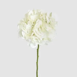 Soft Touch Hydrangea Flower Stem 75cm Cream by Florabelle Living, a Plants for sale on Style Sourcebook