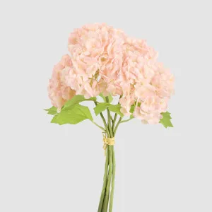 Mini Hydrangea Posy Pink by Florabelle Living, a Plants for sale on Style Sourcebook