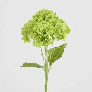 Real Touch Hydrangea 5 Head Bunch Green by Florabelle Living, a Plants for sale on Style Sourcebook