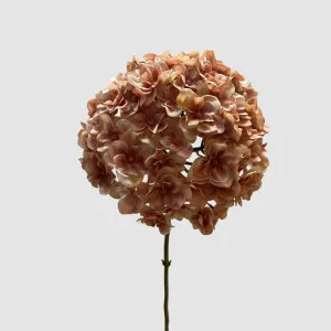 Hydrangea Pink 74cm by Florabelle Living, a Plants for sale on Style Sourcebook