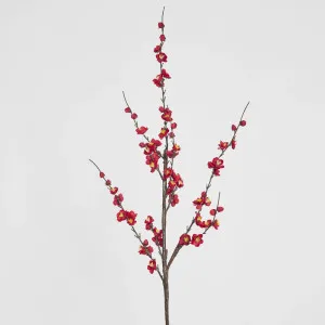 Japonica Blossom Stem 120cm Red by Florabelle Living, a Plants for sale on Style Sourcebook