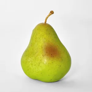 Artificial Pear by JMC FLORALS, a Statues & Ornaments for sale on Style Sourcebook