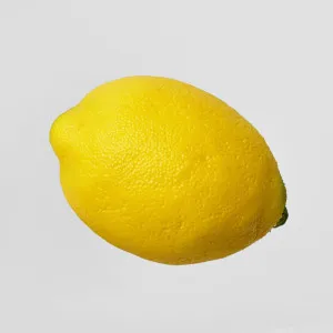 Artificial Lemon by JMC FLORALS, a Statues & Ornaments for sale on Style Sourcebook