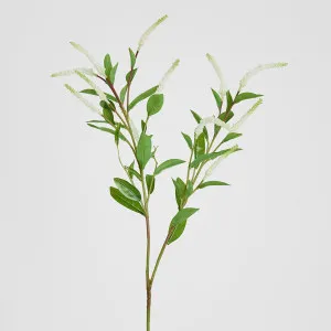 Virginia Willow Spray 89cm White by Florabelle Living, a Plants for sale on Style Sourcebook