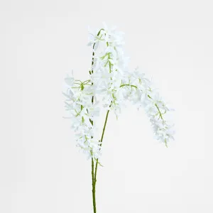 Trailing Wisteria 118cm White by Florabelle Living, a Plants for sale on Style Sourcebook